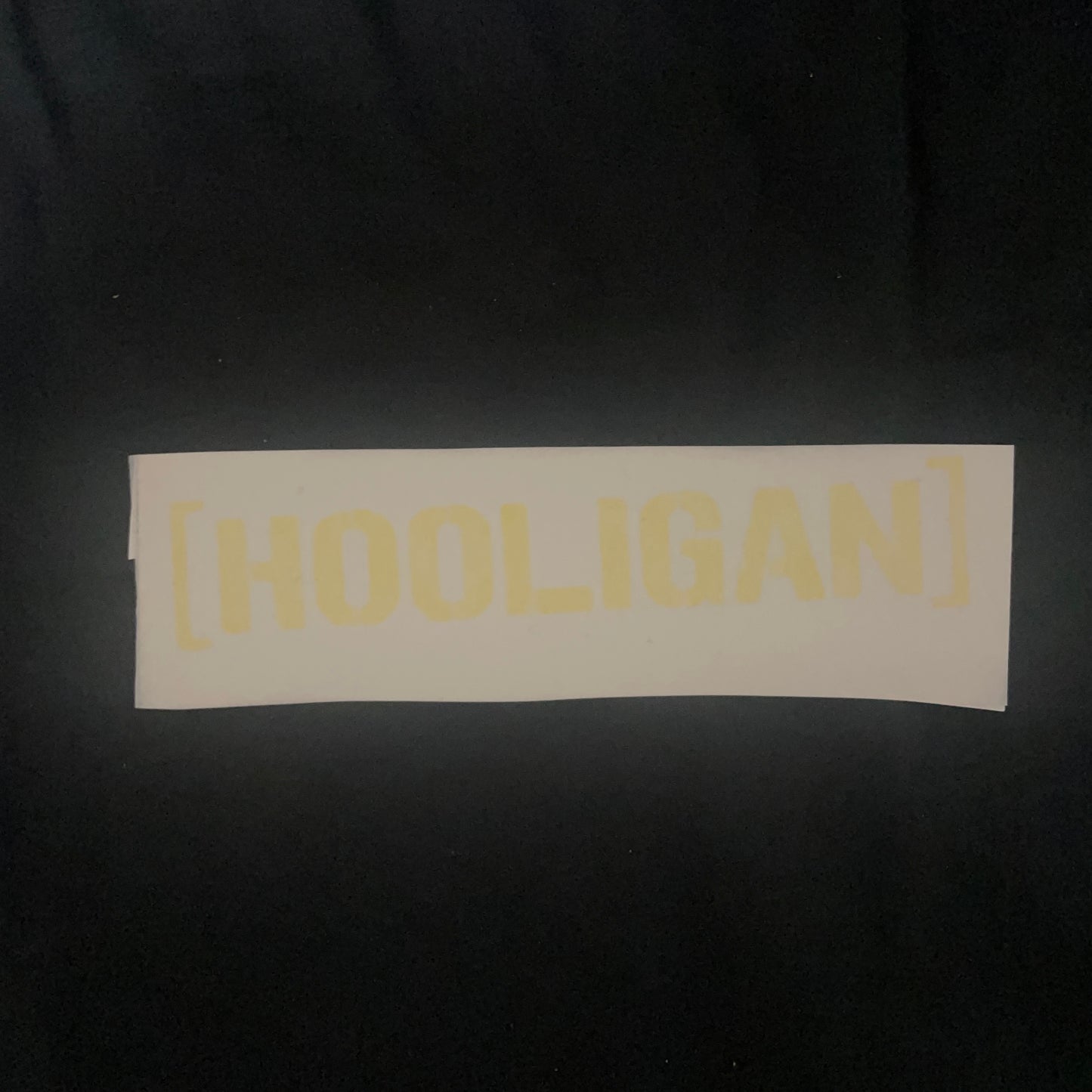 [HOOLIGAN] Vinyl Car Sticker - TrailHead Expeditions